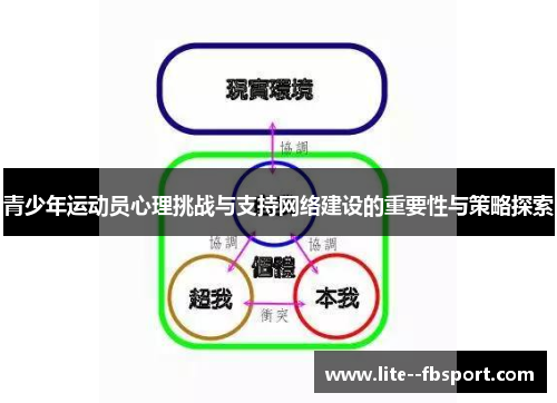 青少年运动员心理挑战与支持网络建设的重要性与策略探索